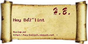 Hey Bálint névjegykártya